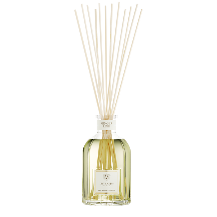 250ML DR.VRANJES GINGER LIME DIFFUSER
